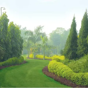 Surjivan India